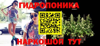 a pvp Кимры