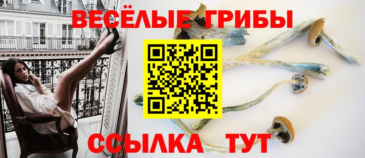 Псилоцибиновые грибы Psilocybine cubensis  Вход с VPN  Псилоцибиновые грибы Cubensis  Коломна 